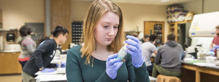 Biology student examining a specimen in a lab setting.